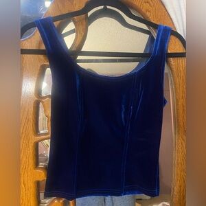 Blue Velvet Women's Top